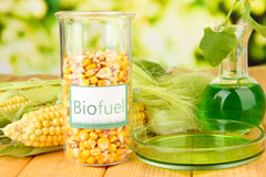 Danzey Green biofuel availability